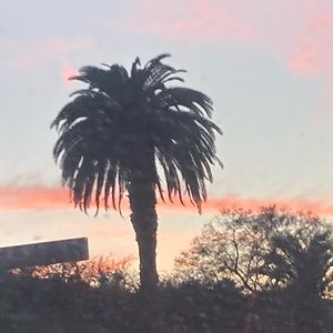 I am a designer & tattoo artist check out my work on Instagram @lajungleink